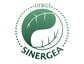 Logo84x64 sinergea verde escuro